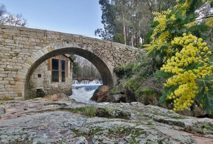 Reginita Apartamentos Arbo المظهر الخارجي الصورة